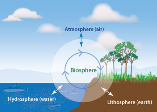 What is the Biosphere? (with pictures)